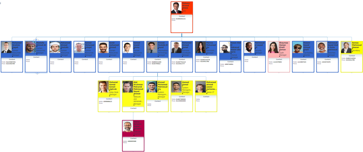 Organizational Management